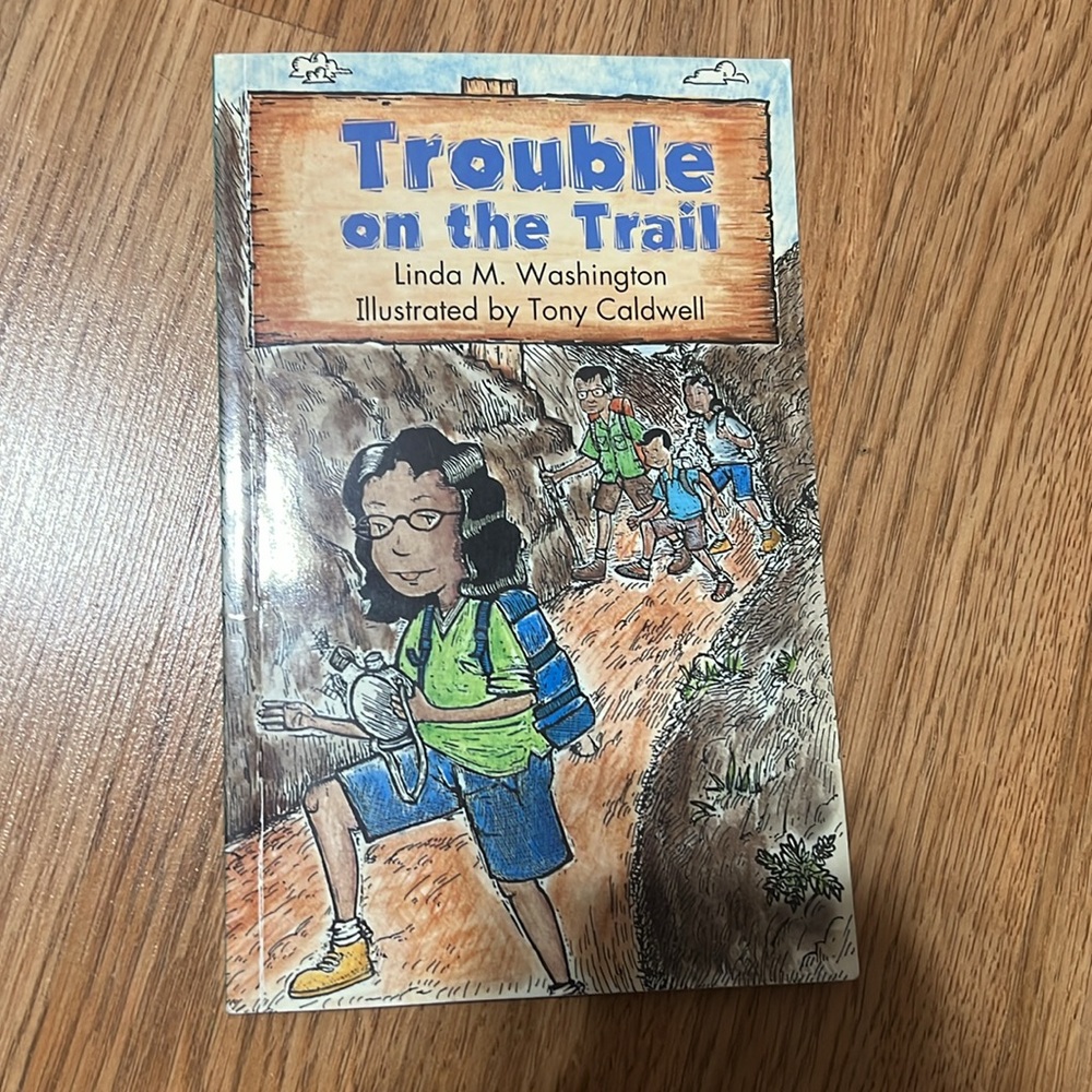 Level P Reader bundle - Picture 4 of 7